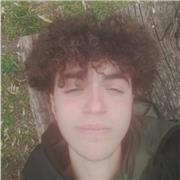 Ragazzo del terzo liceo classico impartisce ripetizioni di inglese, latino e greco per studenti del biennio scientifico e classico